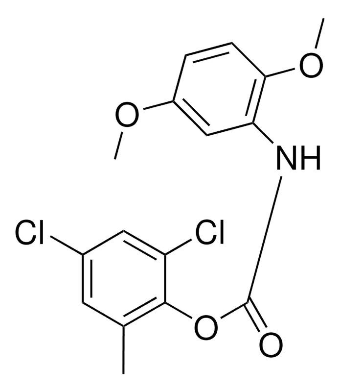 Sigma-Aldrich 2,4-DICHLORO-6-METHYLPHENYL N-(2,5-DIMETHOXYPHENYL)CARBAMATE,AldrichCPR