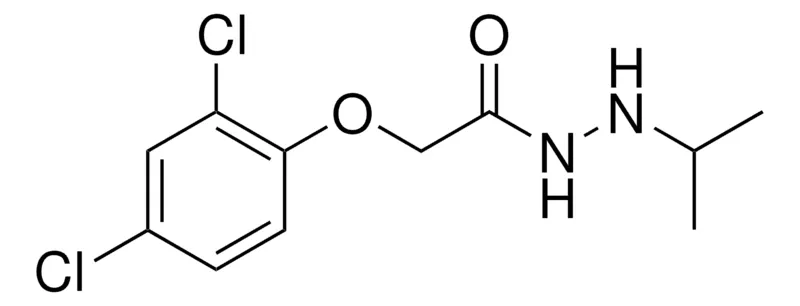 Sigma-Aldrich 2-(2,4-DICHLOROPHENOXY)-N'-ISOPROPYLACETOHYDRAZIDE,AldrichCPR