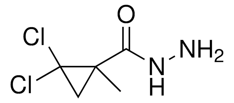 Sigma-Aldrich 2,2-DICHLORO-1-METHYL-CYCLOPROPANECARBOXYLIC ACID HYDRAZIDE，AldrichCPR