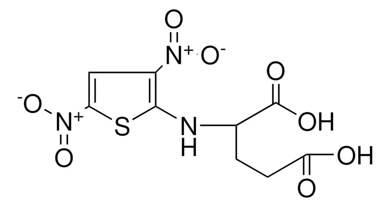 Sigma-Aldrich 2-(3,5-DINITRO-THIOPHEN-2-YLAMINO)-PENTANEDIOIC ACID,AldrichCPR