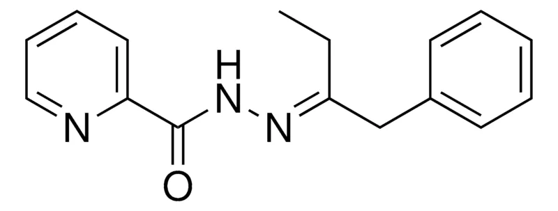 Sigma-Aldrich PYRIDINE-2-CARBOXYLIC ACID (1-BENZYL-PROPYLIDENE)-HYDRAZIDE,AldrichCPR