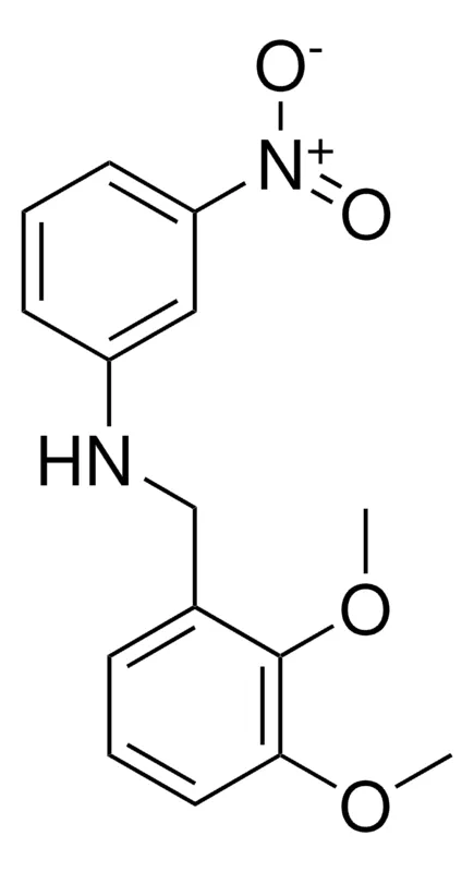 Sigma-Aldrich 2,3-DIMETHOXY-N-(3-NITROPHENYL)BENZYLAMINE,AldrichCPR