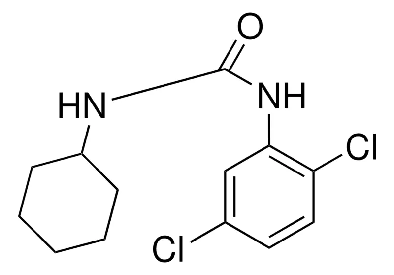 Sigma-Aldrich 1-CYCLOHEXYL-3-(2,5-DICHLOROPHENYL)UREA，AldrichCPR