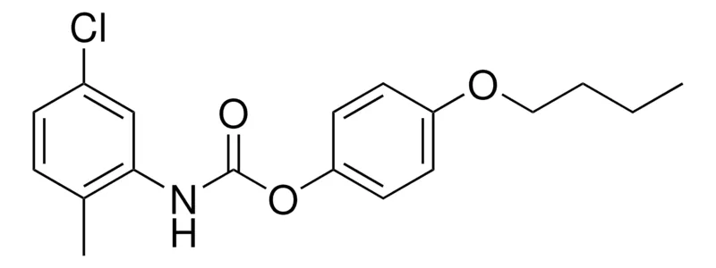 Sigma-Aldrich 4-BUTOXYPHENYL N-(5-CHLORO-2-METHYLPHENYL)CARBAMATE,AldrichCPR