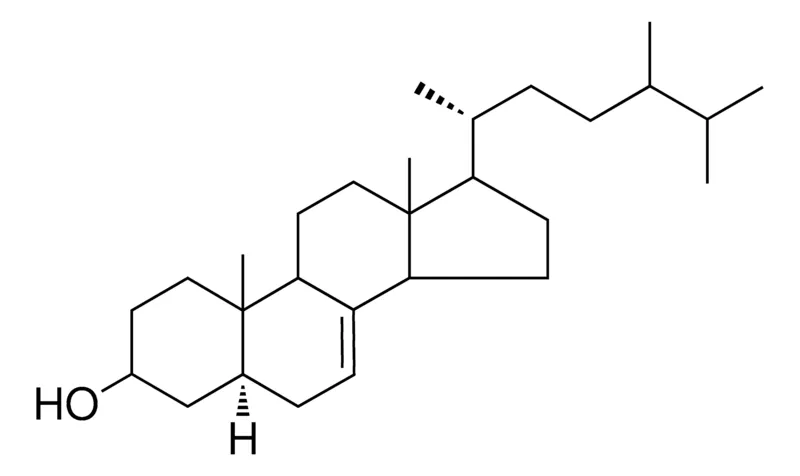 Sigma-Aldrich 5-ALPHA-CAMPEST-7-EN-3-BETA-OL，AldrichCPR
