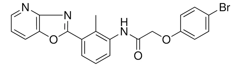 Sigma-Aldrich 2-(4-BROMO-PHENOXY)-N-(2-METHYL-3-OXAZOLO(4,5-B)PYRIDIN-2-YL-PHENYL)-ACETAMIDE,AldrichCPR