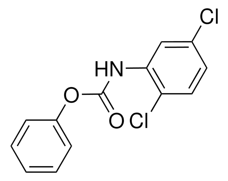 Sigma-Aldrich PHENYL N-(2,5-DICHLOROPHENYL)CARBAMATE,AldrichCPR