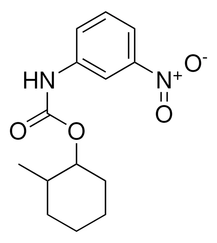 Sigma-Aldrich 2-METHYLCYCLOHEXYL N-(3-NITROPHENYL)CARBAMATE,AldrichCPR