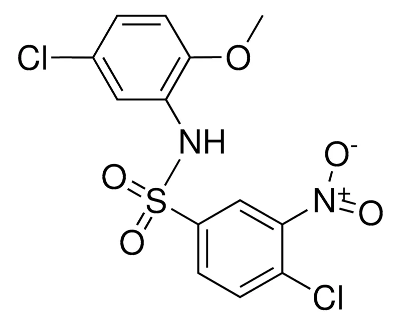 Sigma-Aldrich 4,5'-DICHLORO-2'-METHOXY-3-NITROBENZENESULFONANILIDE,AldrichCPR