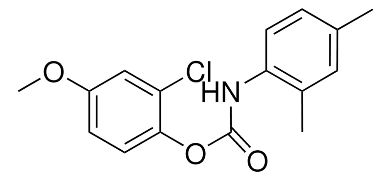 Sigma-Aldrich 2-CHLORO-4-METHOXYPHENYL N-(2,4-DIMETHYLPHENYL)CARBAMATE,AldrichCPR