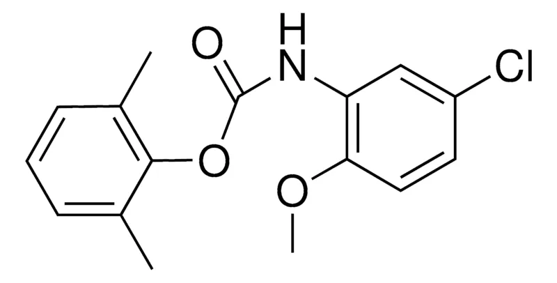 Sigma-Aldrich 2,6-XYLYL N-(5-CHLORO-2-METHOXYPHENYL)CARBAMATE,AldrichCPR