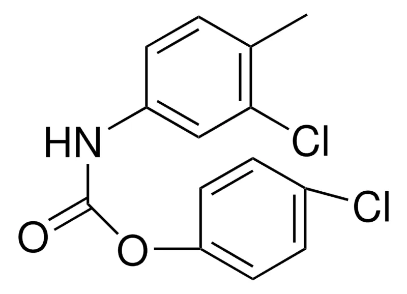 Sigma-Aldrich 4-CHLOROPHENYL N-(3-CHLORO-4-METHYLPHENYL)CARBAMATE,AldrichCPR
