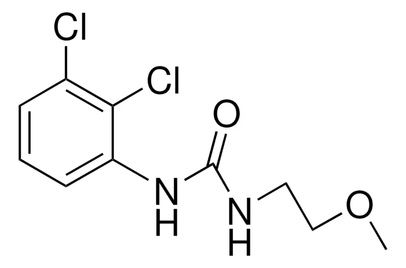 Sigma-Aldrich 1-(2,3-DICHLOROPHENYL)-3-(2-METHOXYETHYL)UREA,AldrichCPR
