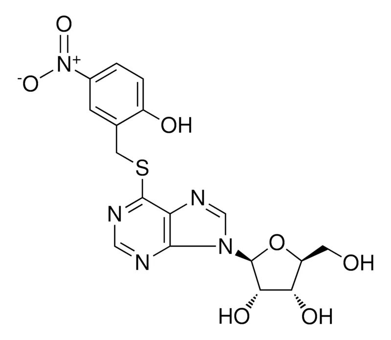 Sigma-Aldrich S-(2-HYDROXY-5-NITROBENZYL)-6-THIOINOSINE,AldrichCPR