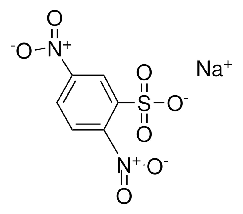 Sigma-Aldrich 2,5-DINITROBENZENESULFONIC ACID, SODIUM SALT,AldrichCPR