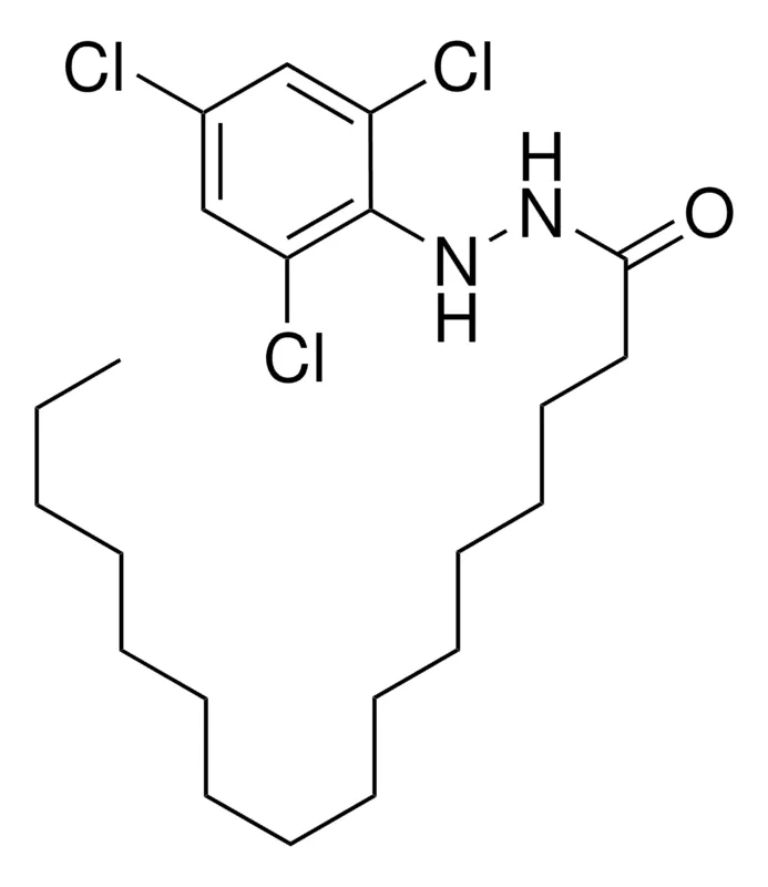 Sigma-Aldrich HEXADECANOIC ACID (2,4,6-TRICHLOROPHENYL)-HYDRAZIDE,AldrichCPR
