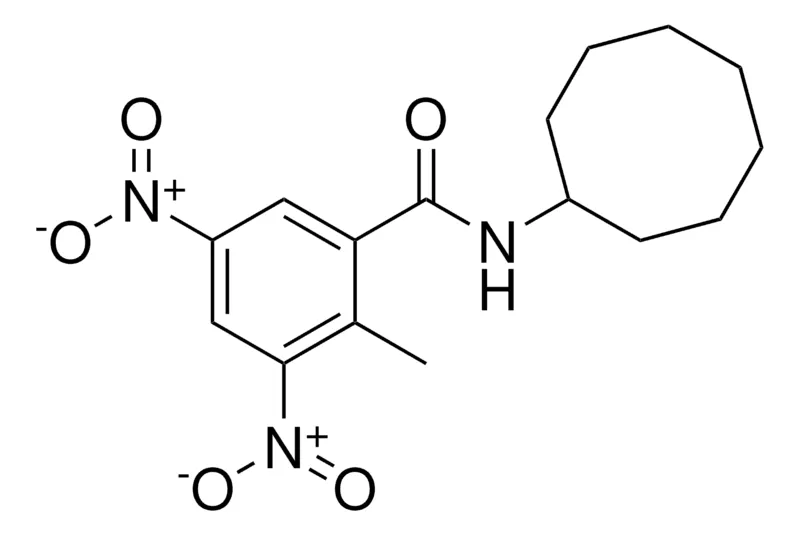 Sigma-Aldrich N-CYCLOOCTYL-2-METHYL-3,5-DINITRO-BENZAMIDE,AldrichCPR