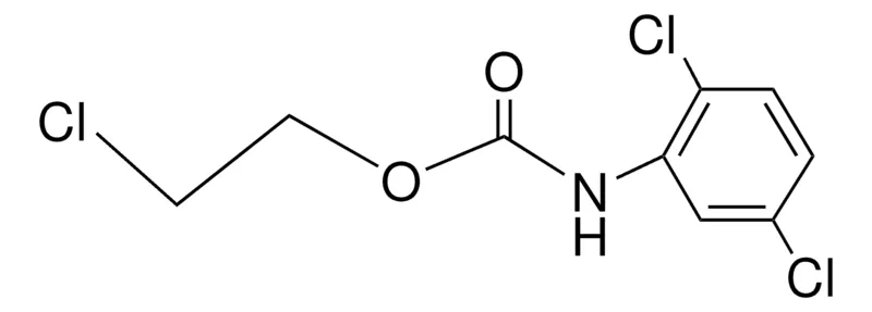 Sigma-Aldrich 2-CHLOROETHYL N-(2,5-DICHLOROPHENYL)CARBAMATE，AldrichCPR