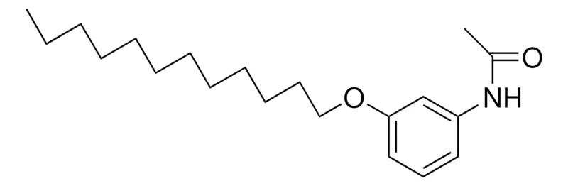 Sigma-Aldrich 3'-(DODECYLOXY)ACETANILIDE,AldrichCPR
