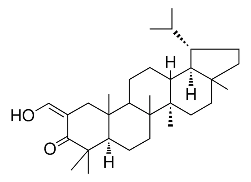 Sigma-Aldrich 2-HYDROXYMETHYLENELUPAN-3-ONE，AldrichCPR