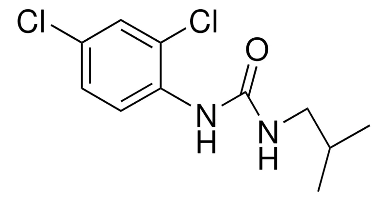 Sigma-Aldrich 1-(2,4-DICHLOROPHENYL)-3-ISOBUTYLUREA,AldrichCPR