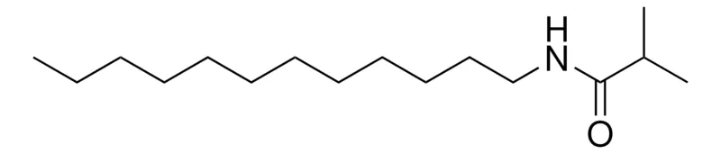 Sigma-Aldrich N-DODECYL-ISOBUTYRAMIDE，AldrichCPR