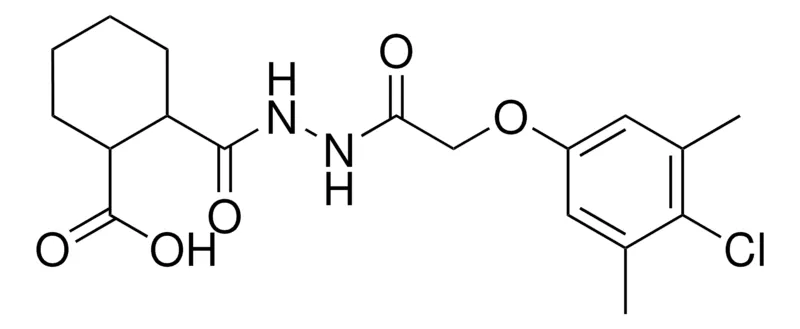 Sigma-Aldrich 2((2-((4-CL-3,5-DIMETHYLPHENOXY)AC)HYDRAZINO)CARBONYL)CYCLOHEXANECARBOXYLIC ACID,AldrichCPR