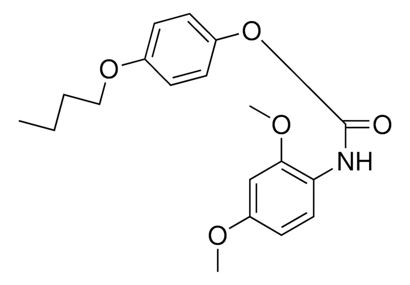 Sigma-Aldrich 4-BUTOXYPHENYL N-(2,4-DIMETHOXYPHENYL)CARBAMATE,AldrichCPR