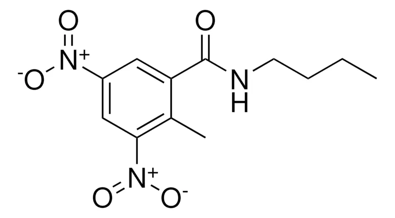 Sigma-Aldrich N-BUTYL-2-METHYL-3,5-DINITRO-BENZAMIDE,AldrichCPR