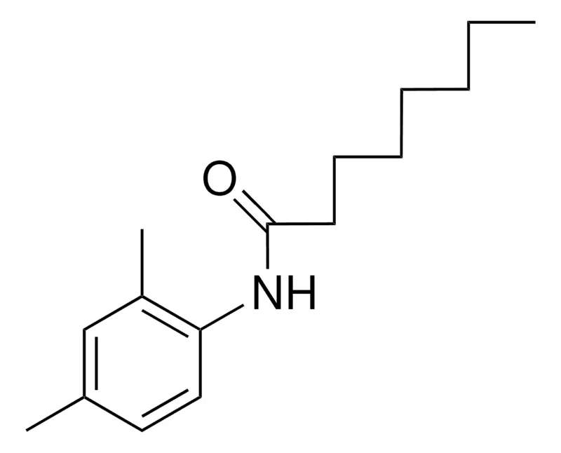 Sigma-Aldrich 2',4'-OCTANOXYLIDIDE,AldrichCPR