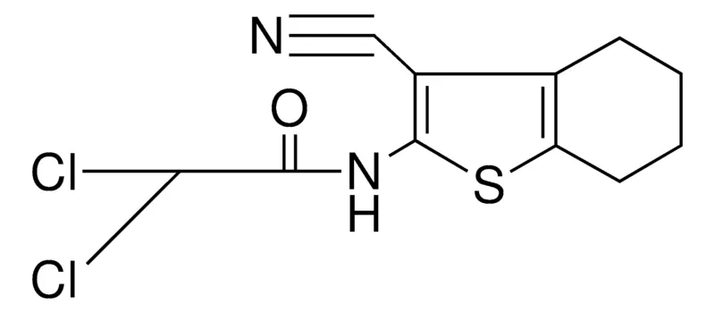 Sigma-Aldrich N-(3-CYANO-4,5,6,7-TETRAHYDROBENZO(B)THIOPHEN-2-YL)-2,2-DICHLOROACETAMIDE,AldrichCPR