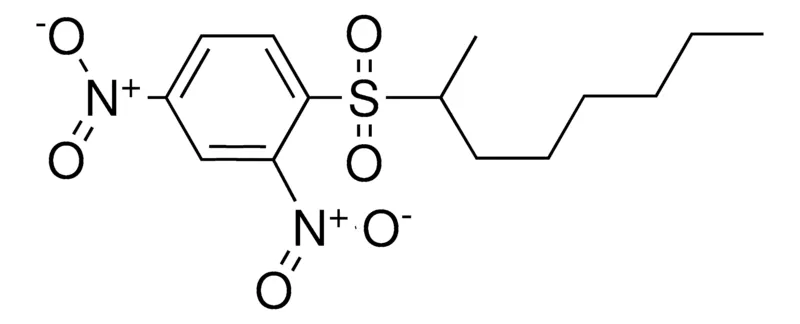 Sigma-Aldrich 2,4-DINITROPHENYL 2-OCTYL SULFONE,AldrichCPR