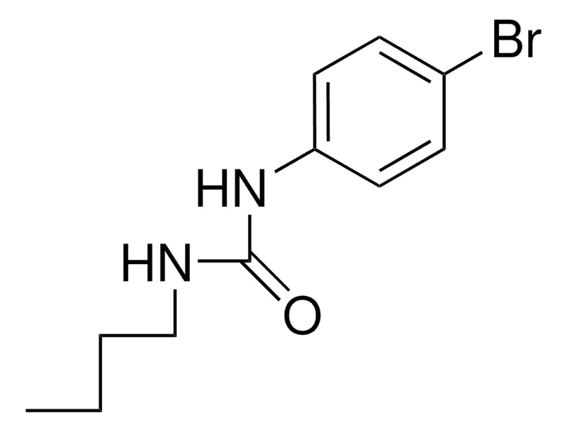 Sigma-Aldrich 1-(4-BROMOPHENYL)-3-BUTYLUREA,AldrichCPR