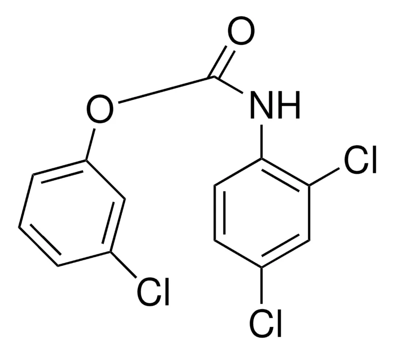 Sigma-Aldrich 3-CHLOROPHENYL N-(2,4-DICHLOROPHENYL)CARBAMATE,AldrichCPR