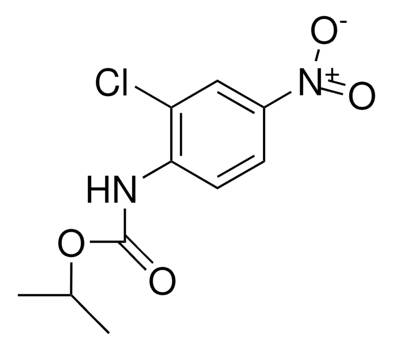 Sigma-Aldrich ISOPROPYL N-(2-CHLORO-4-NITROPHENYL)CARBAMATE,AldrichCPR