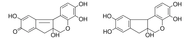 Sigma-Aldrich TETRA-HO-6H-INDENO(2,1-C)CHROMEN-9-ONE, 2H-INDENO(2,1-C)CHROMENE-PENTAOL,AldrichCPR