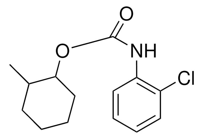 Sigma-Aldrich 2-METHYLCYCLOHEXYL N-(2-CHLOROPHENYL)CARBAMATE,AldrichCPR