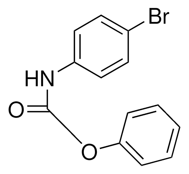 Sigma-Aldrich PHENYL N-(4-BROMOPHENYL)CARBAMATE，AldrichCPR