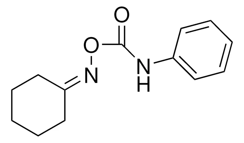 Sigma-Aldrich O-(N-PHENYLCARBAMOYL)CYCLOHEXANONE OXIME,AldrichCPR
