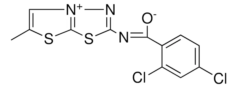 Sigma-Aldrich 2,4-DICHLORO-N-(6-METHYL[1,3]THIAZOLO[2,3-B][1,3,4]THIADIAZOL-4-IUM-2-YL)BENZENECARBOXIMIDATE，AldrichCPR
