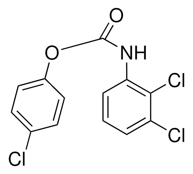 Sigma-Aldrich 4-CHLOROPHENYL N-(2,3-DICHLOROPHENYL)CARBAMATE,AldrichCPR