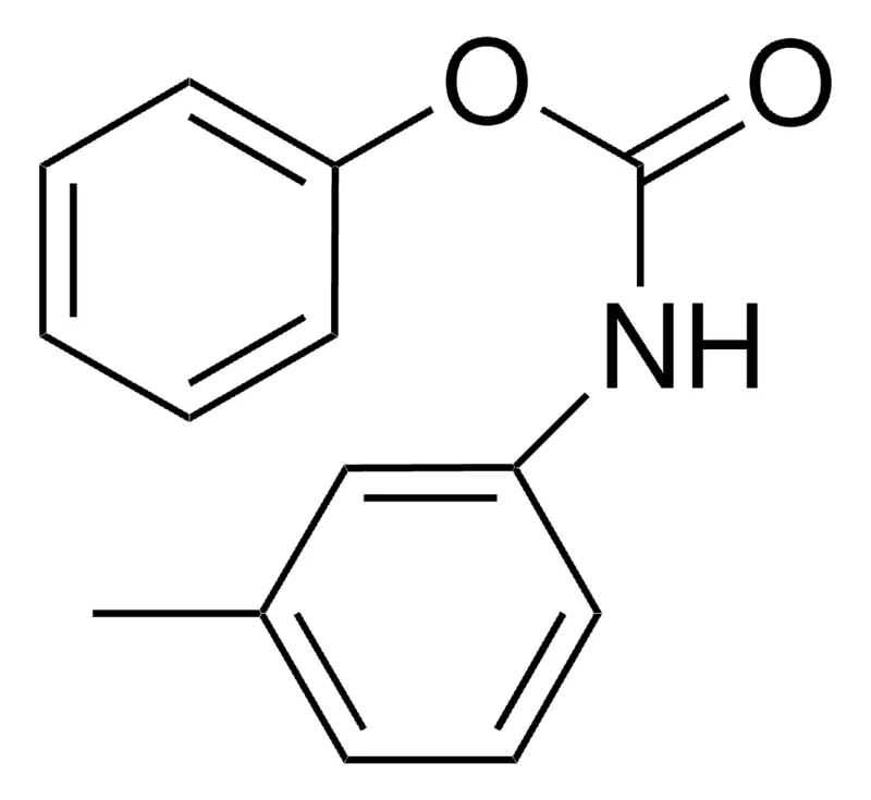 Sigma-Aldrich PHENYL N-(M-TOLYL)CARBAMATE,AldrichCPR