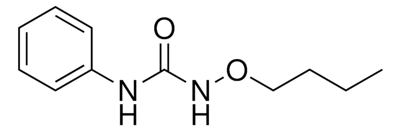 Sigma-Aldrich N-BUTOXY-N'-PHENYLUREA，AldrichCPR