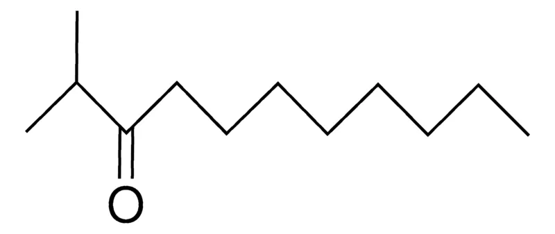 Sigma-Aldrich 2-METHYL-3-UNDECANONE,AldrichCPR
