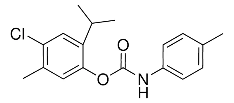 Sigma-Aldrich 4-CHLORO-2-ISOPROPYL-5-METHYLPHENYL N-(P-TOLYL)CARBAMATE,AldrichCPR