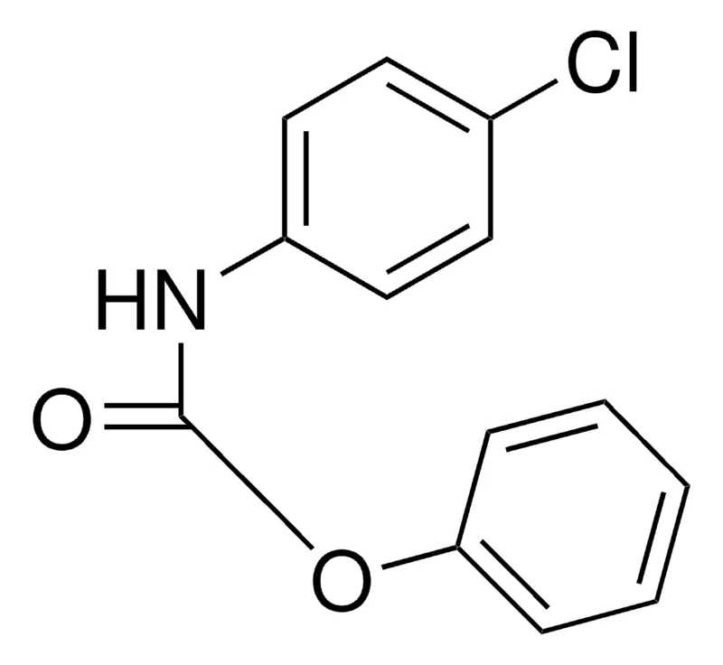 Sigma-Aldrich PHENYL N-(4-CHLOROPHENYL)CARBAMATE,AldrichCPR