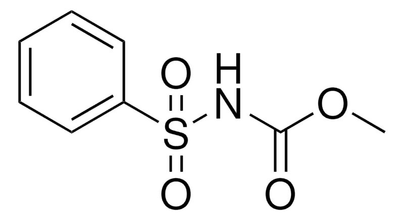 Sigma-Aldrich METHYL PHENYLSULFONYLCARBAMATE,AldrichCPR
