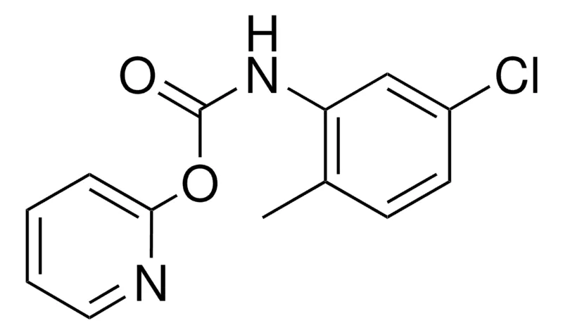 Sigma-Aldrich 2-PYRIDYL N-(5-CHLORO-2-METHYLPHENYL)CARBAMATE,AldrichCPR