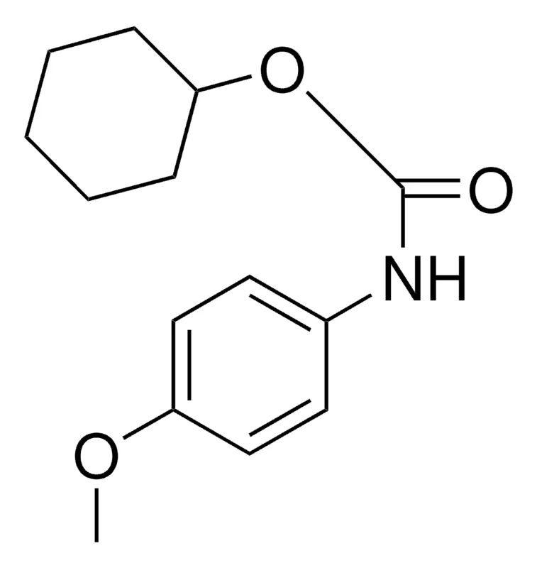 Sigma-Aldrich CYCLOHEXYL N-(4-METHOXYPHENYL)CARBAMATE,AldrichCPR