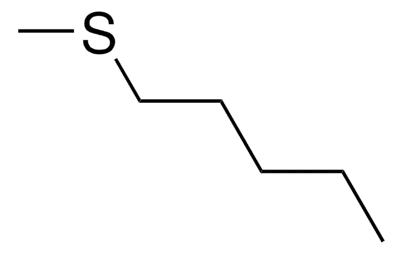 Sigma-Aldrich AMYL METHYL SULFIDE，AldrichCPR